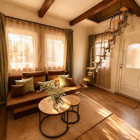 Oliva Apartment
